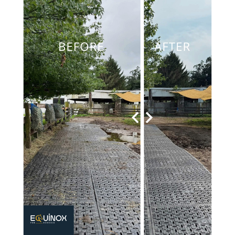 Equinox Mud Grids
