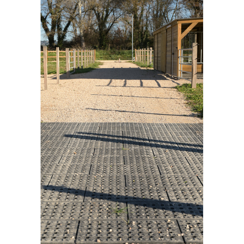Equinox Compact Grid