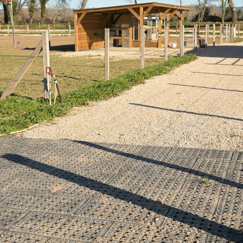 Equinox Compact Grid