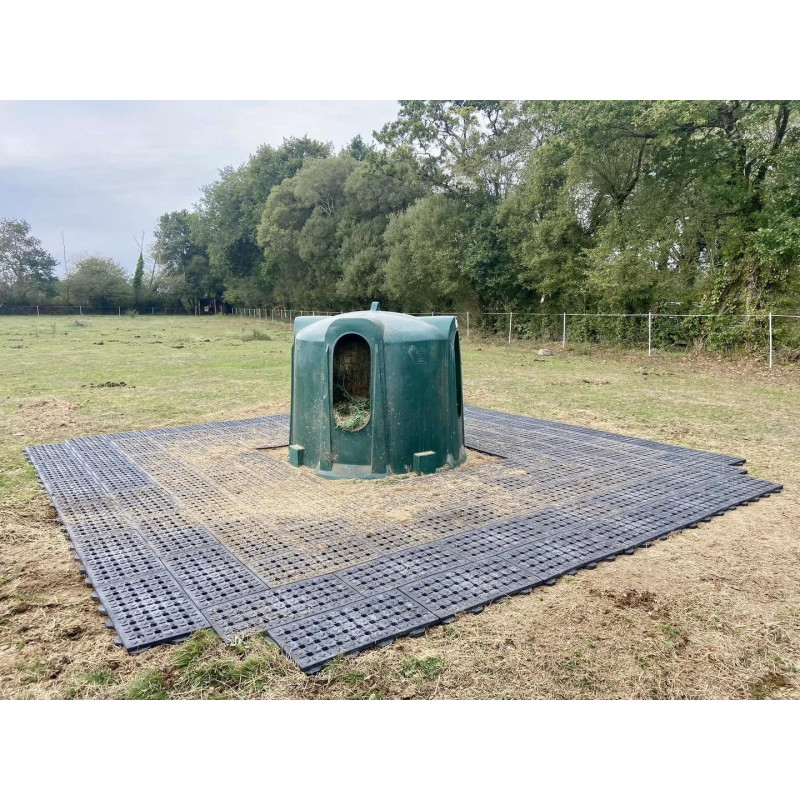 Equinox Compact Grid