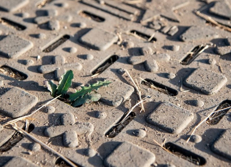 Why Choose Eco-Friendly Horse Mud Mats?