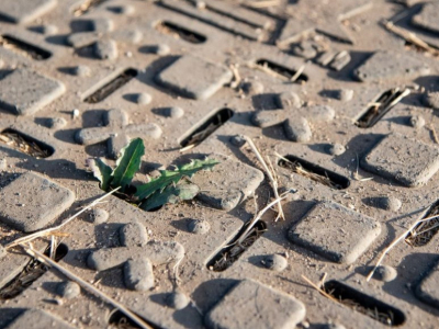 Why Choose Eco-Friendly Horse Mud Mats?